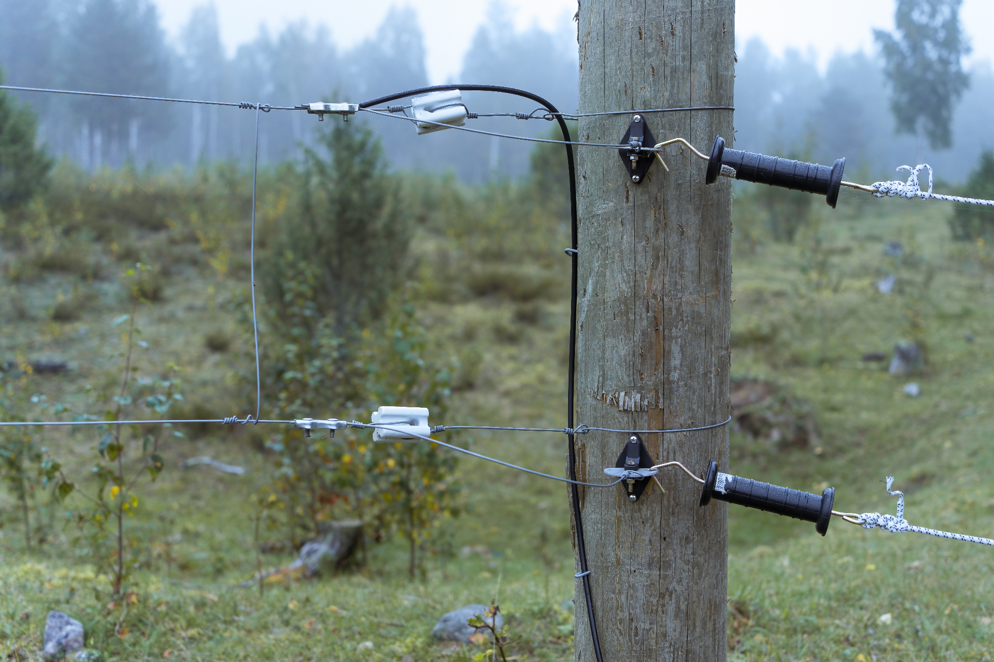 Električni pašni pastir je odlična ograja za pašnik